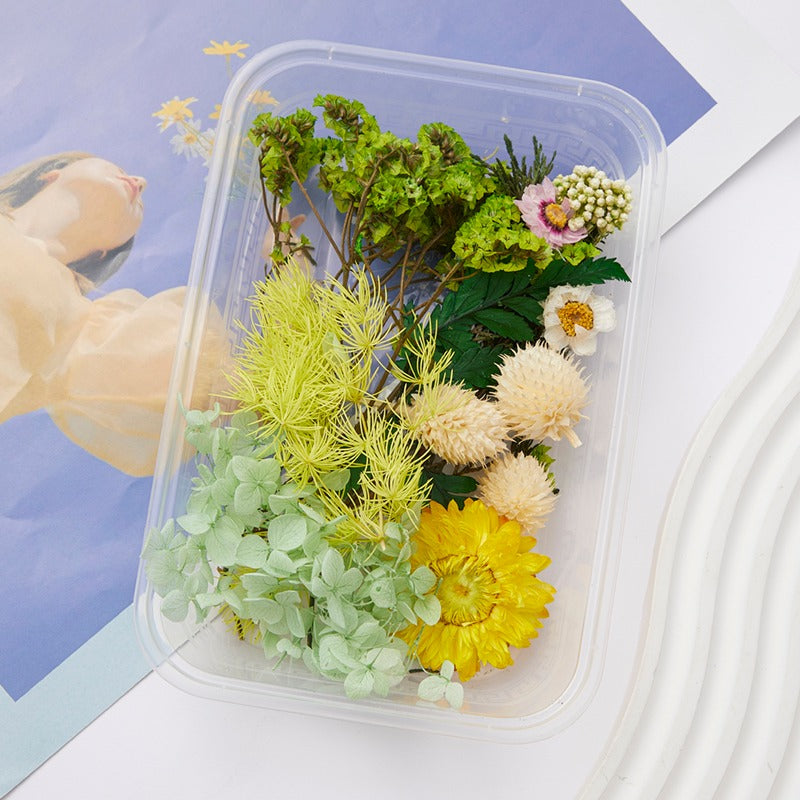 Wholesale DIY Handmade Mixed Dried Flowers Boxed Material Package Real Flowers Natural Air-dried Decorative Ornaments Dripping Glue Flower Material